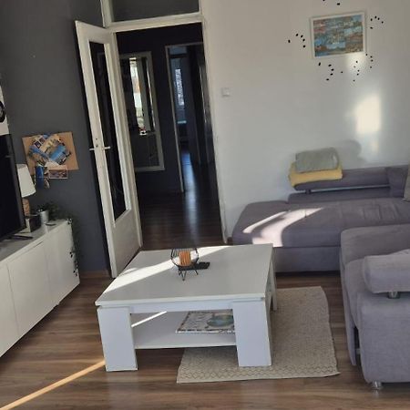 Apartment Jarun Comfort Zágráb Kültér fotó