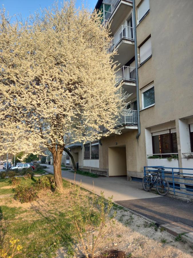 Apartment Jarun Comfort Zágráb Kültér fotó